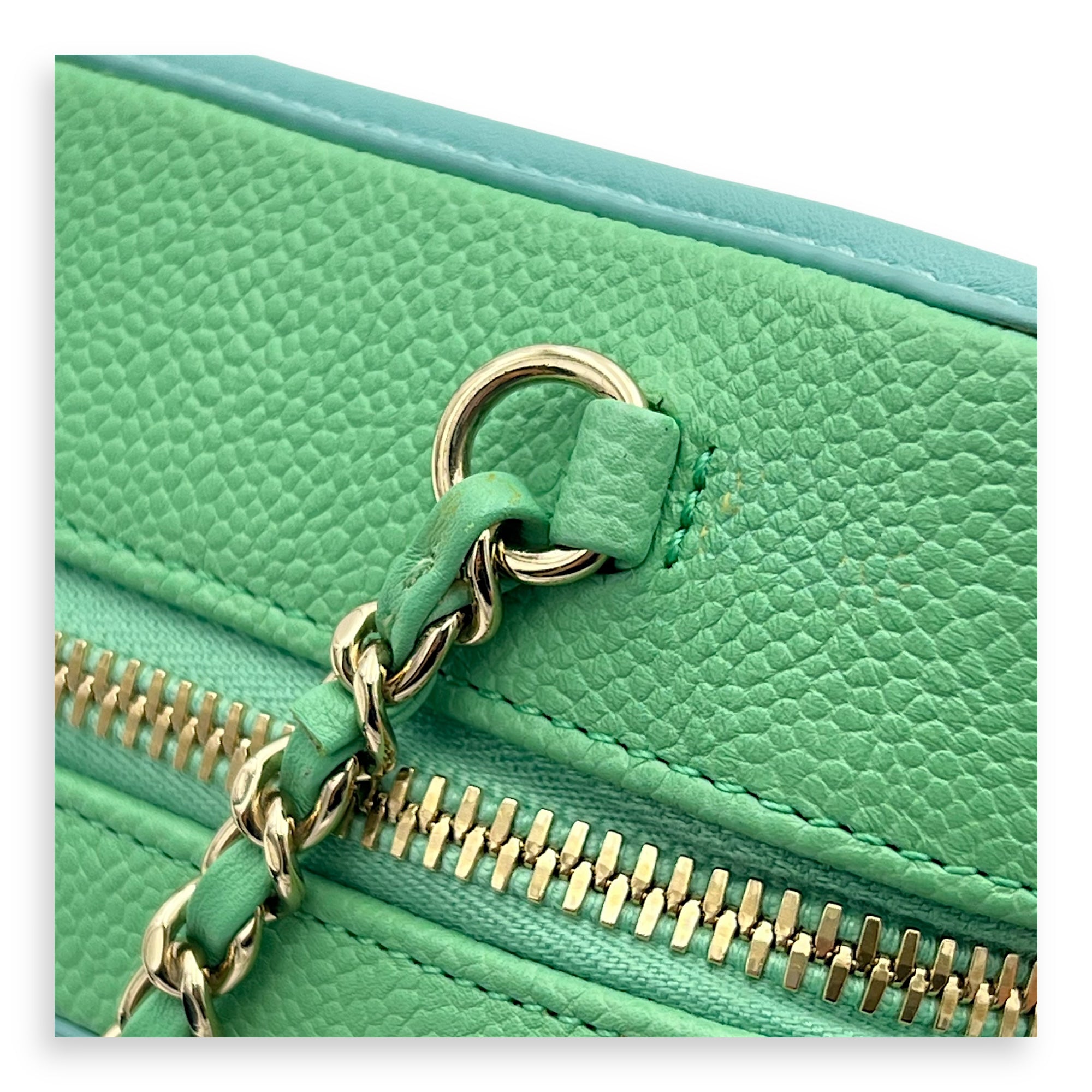 Filigree Small Multi-colour Vanity Bag in Caviar Leather, Gold hardware - Image 13