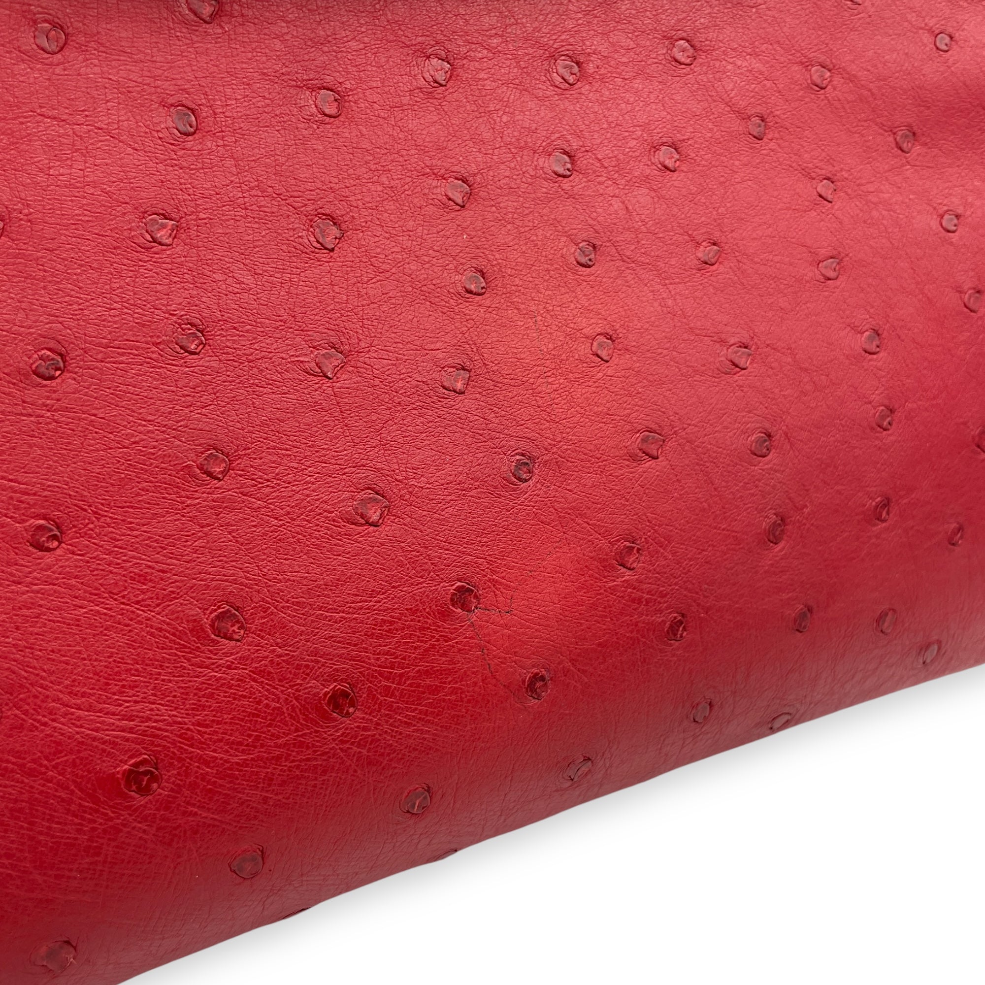 Birkin 30 Rouge Vif in Ostrich, Gold hardware - Image 12