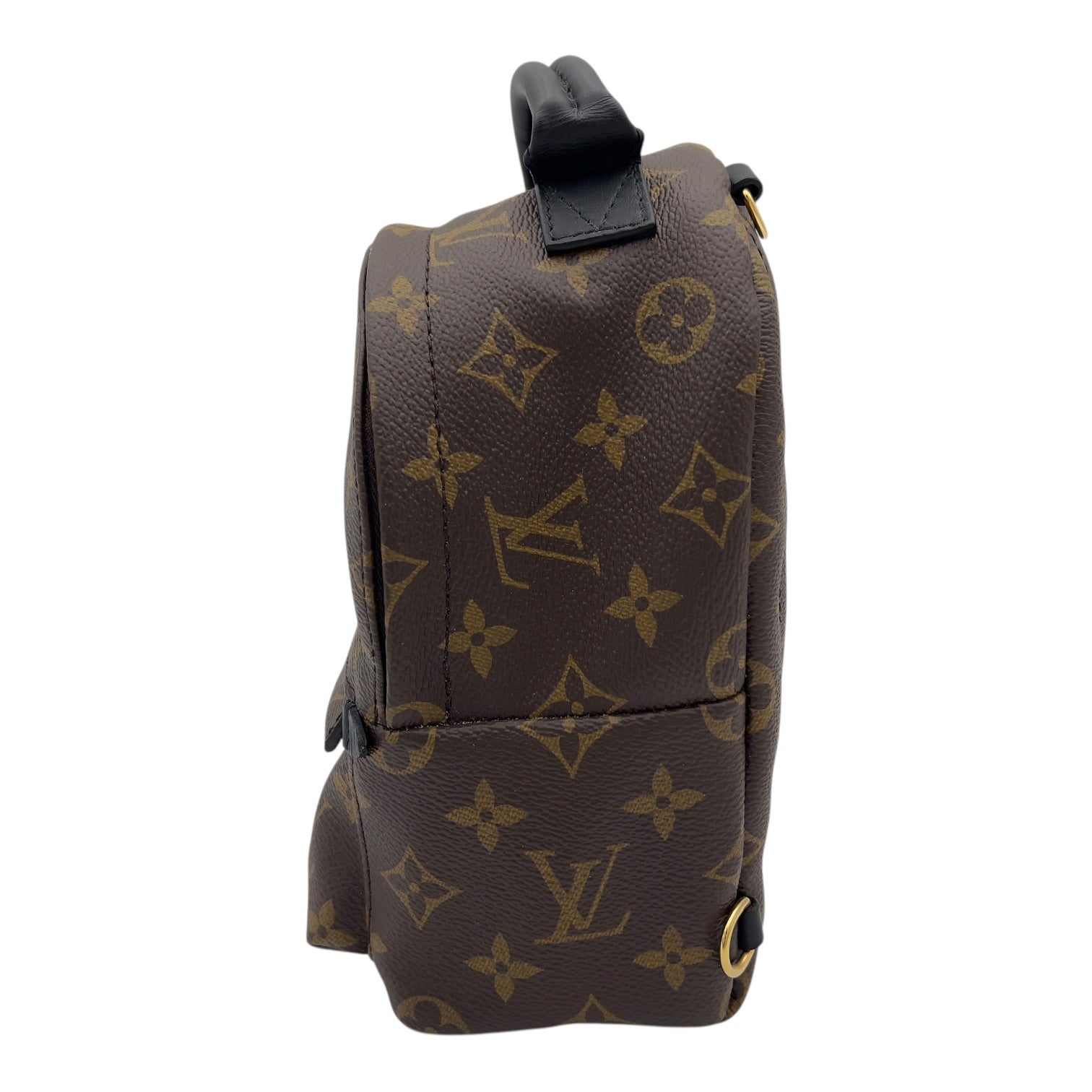 Palm Springs Mini Brown Backpack in Monogram Coated Canvas, Gold hardware - Image 5